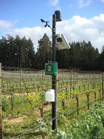 Weather station in vineyard